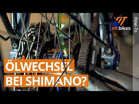 This is how your hub gear lasts forever! 🚲🔧 Shimano Alfine 11-speed oil change!