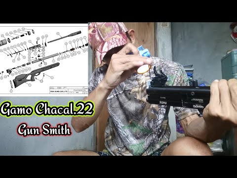 Tutorial on How to Disassemble/Gamo Chacal, Gamo Phox/Gamo Urban/Gamo GX-40/Gamo Coyote
