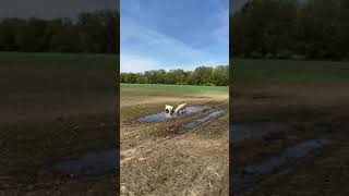 Download lagu Adventures of Lola and Ruby in MUD! mp3