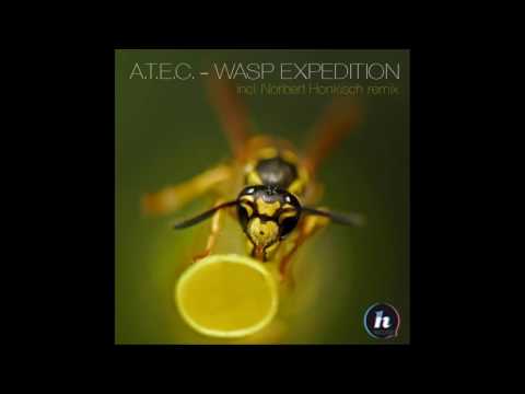A.T.E.C. - Wasp Expedition (Norbert Honkisch Remix)
