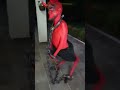 el diablo anda suelto