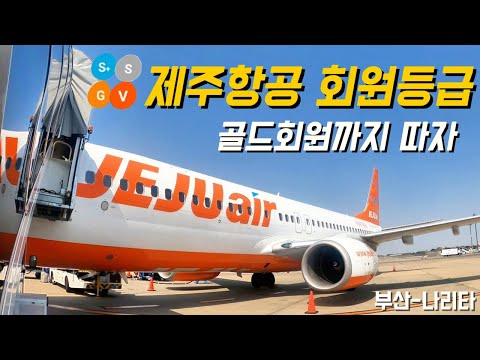 제주항공 골드 등급의 매력과 혜택: 회원 등급 통해 여행 더 즐겁게!