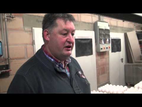 Cumbasil Mite Mineralpulver im Betrieb Ewerszumrode