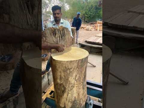 Chicken or Mutton cutting log #wood #forest #forest #bhera #billi #meat