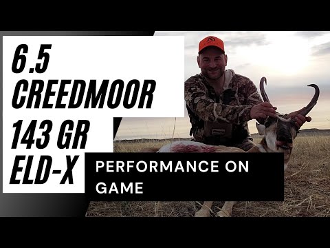 6.5 Creedmoor 143 ELD-X Hunting