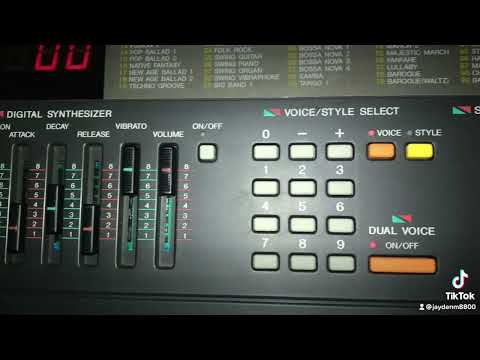 PSS 390 Keyboard display