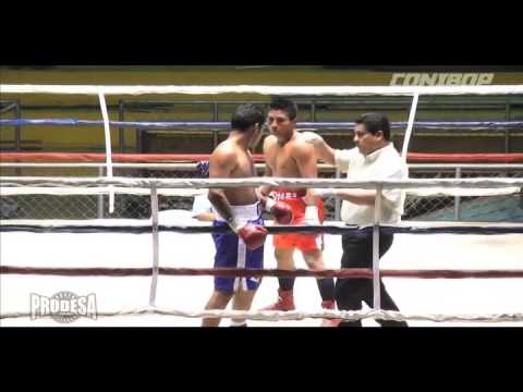 Pelea Leonel Hernandez vs Carlos Castillo - CONIBOP