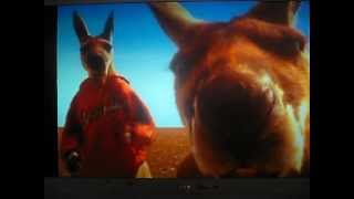 Kangaroo Jack Rap Kangaroo Jack Rap