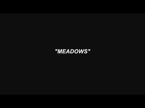 LOST IN VANCOUVER // MEADOWS (LYRIC VIDEO)