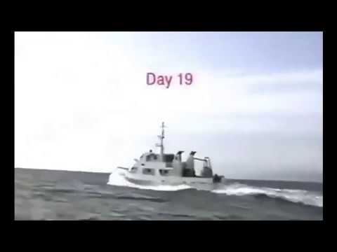 Ecco The Dolphin Commercial with Jacques Cousteau