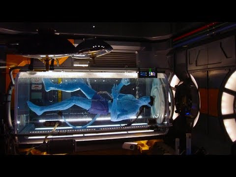 [4K] Avatar Flight of Passage |  Disney's Animal Kingdom