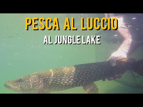 Avventura al JUNGLE LAKE - spinning ai LUCCI
