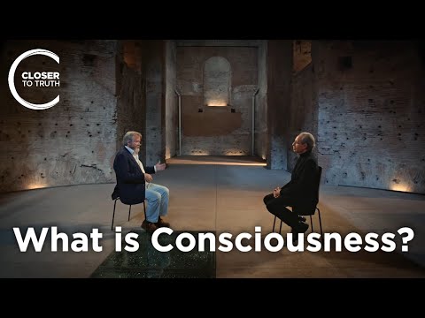 Thumbnail for Is consciousness a fundamental aspect of reality?
