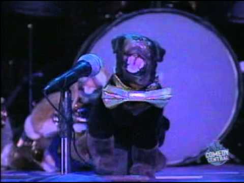 Triumph the Insult Comic Dog   TV Fun House