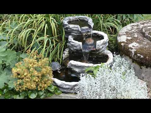 Trädgårdsfontän 14 augusti 2020