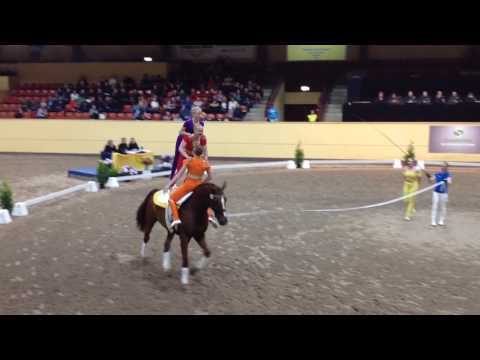 AG Junior Team freestyle Flyinge 2017