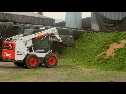 Silage '20 - Three Fendts, a Massey and a Claas - plus Pit work with Brewers Grains.