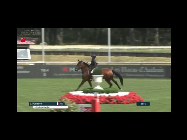 Jument de Sport CSO 