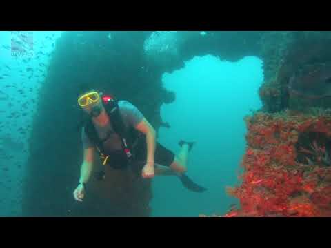 Spadefish at 'Hardeep Wreck' | Scuba Diving in Pattaya, Thailand