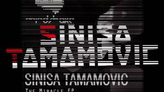 Sinisa Tamamovic - Riot - Mindshake Records