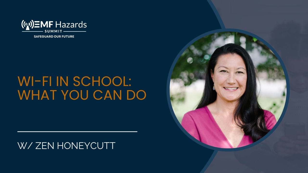 <span class="numbers">14</span> Wi-Fi In School: What You Can Do - Zen Honeycutt