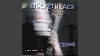 Cover art for Big Sur Moon - Buckethead