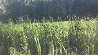 Kathleen Cartwright - What the World Needs Now (cover)