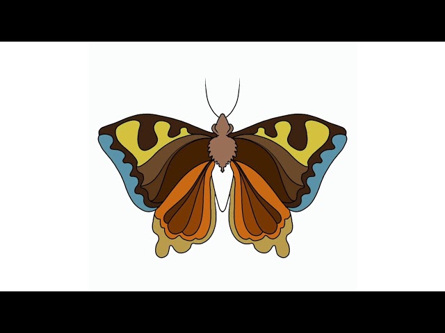 Butterfly coloring pages