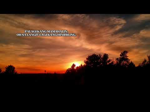 PALAGI - 27 MELLY & IVOUH (Official Lyrics Video)