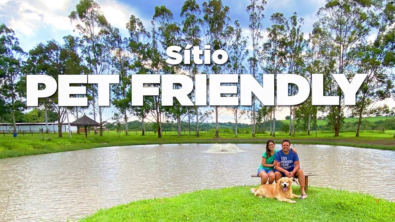 Watch Now Sítio PET FRIENDLY perto de São Paulo 2022 (Nossa despedida do Mingau) Sítio PET FRIENDLY perto de São Paulo 2022 (Nossa despedida do Mingau)
