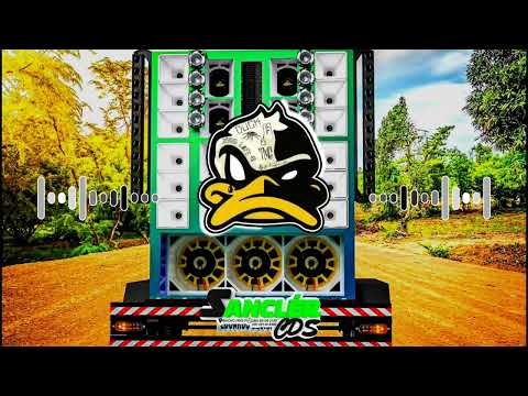 BOTA MARCHA REDUZIDA QUE NOIS SOBE DEVAGAR - BOTA PRA TORAR BOTA PRA DESCE - PISADINHA DO VAQUEIRO