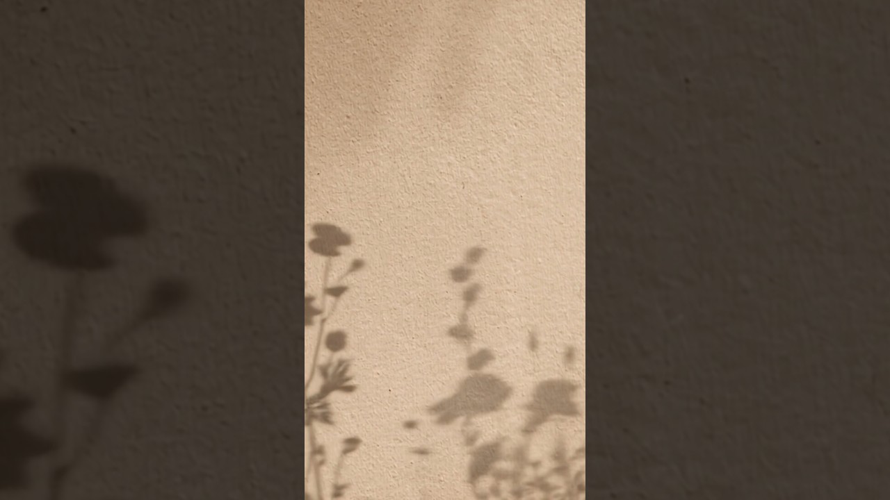 FREE Aesthetic Flower Background Animated #background #aesthetic #video #flowers #animation #overlay