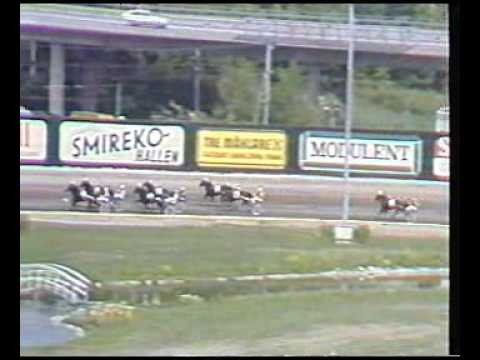 Elitloppet 1981, First Elimination Heat - Burgomeister / Bill Haughton
