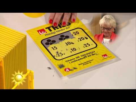 Trisskraparen: ”Lite för gammal för frivolter” - Nyhetsmorgon (TV4)