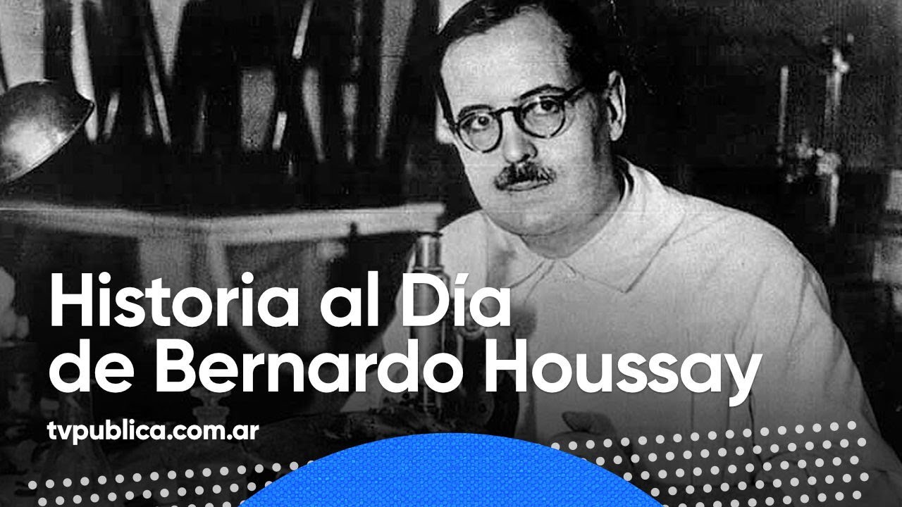 youtube video id=YyheS3PCvi0