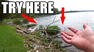 How To Find Bass When Fishing From Shore (Lake Fishing)