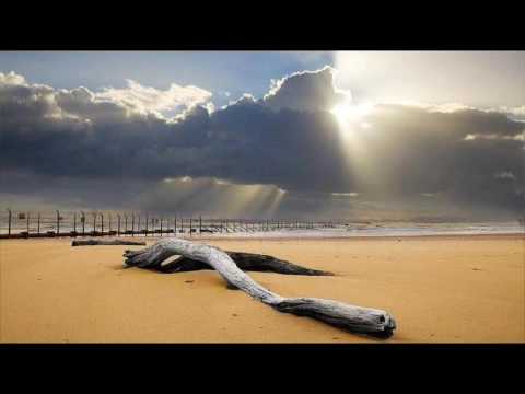 Vast Vision - Sovereign (Fast Distance Remix) [FSOE 85]