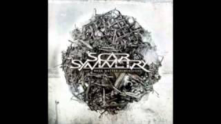 Scar Symmetry- Noumenon and Phenomenon