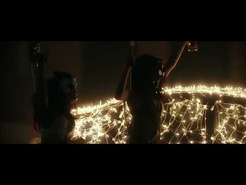 The Purge  Election Year 2016   Party in the USA