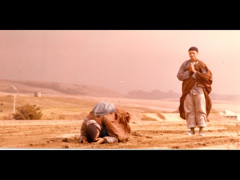 Friday Night Meditation with Dr. Verhoeven - Avatamsaka Sutra #31 05 March 2021