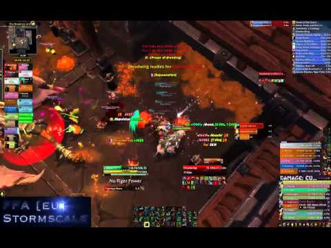 [FFA] stormscale BRF Beastlord Darmac HC (WW monk)