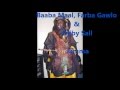 Baaba Maal, Farba Gawlo Seck & Djiby Sall  - Jamma