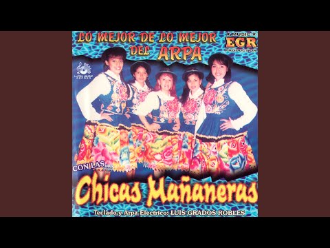 Hechicera / Tu Me Pides Que Te Olvide