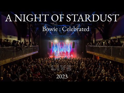 A Night of Stardust