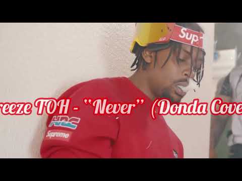 Breeze T.O.H - NEVER