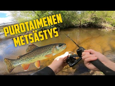 Kalassa Jarkon kanssa, purotaimenen metsästys (with English subtitles)