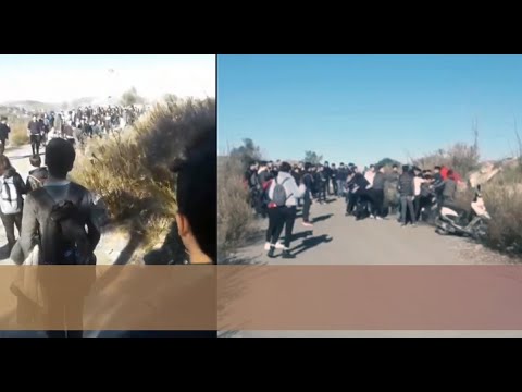 Bodrum’da liseli çetelerin kavgası… Bodrum’da liseli çetelerin kavgası…