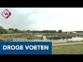 Waterschap Delfland moet onze voeten drooghouden: 'Extra opvang regenwater nodig' - OMROEP WEST