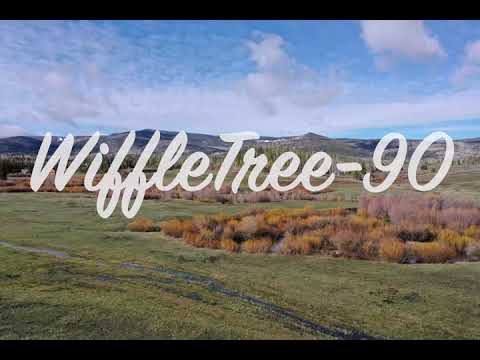 WiffleTree 0.9 acres Stagecoach