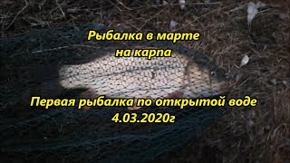 Первая рыбалка на карпа в марте